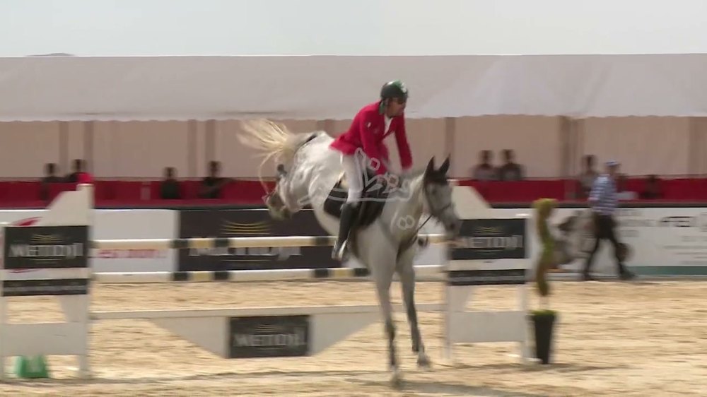 Grand Concours national de saut d’obstacles